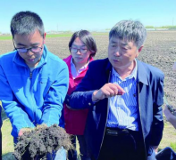扎根黑地盘 合力立异保粮仓