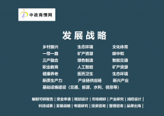 2025-2031年全球及中国南非投资现状阐发及投资风