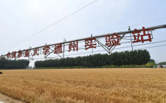 立冬地寒水冷冬气始水麦喷鼻至