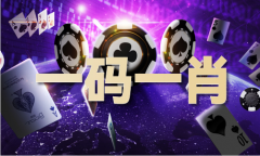 澳门精准24码公