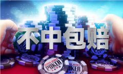 澳门2023最新材料免费大全