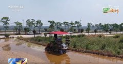 农技护航、聪慧耕田 “三夏”时节各地都正在抢