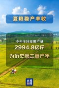 <b>夏粮稳产丰收 七大亮点看上半年农业农村经济</b>