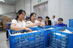贵港市港北区举办2025年劣势特色农做物出产全程